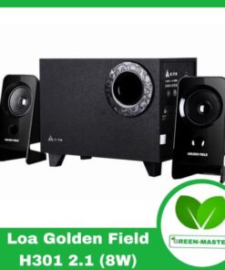 GOLDEN FIELD H301 2.1 (8W