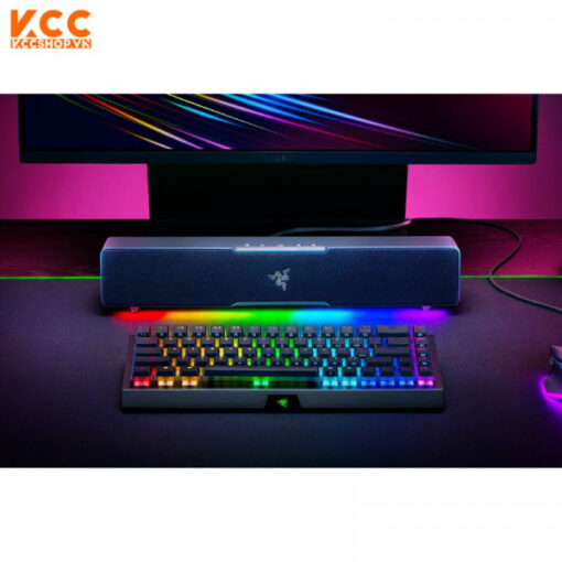 Loa Razer Leviathan V2 X (RZ05-04280100-R3M1)