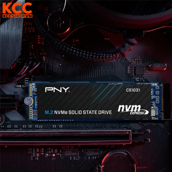 Ổ cứng SSD PNY CS1031 500GB M2 2280 NVMe Gen3x4