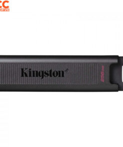 USB Kingston Data Traveler Max 256GB Type C (DTMAX/256GB)