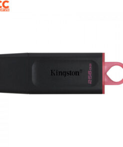 USB 3.2 Kingston DataTraveler Exodia DTX 256GB (DTX/256GB)