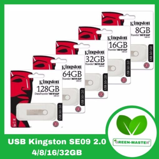 Usb Kingston SE09 2.0