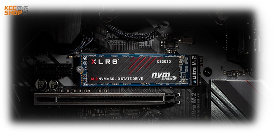 Ổ cứng SSD CS3030 250GB