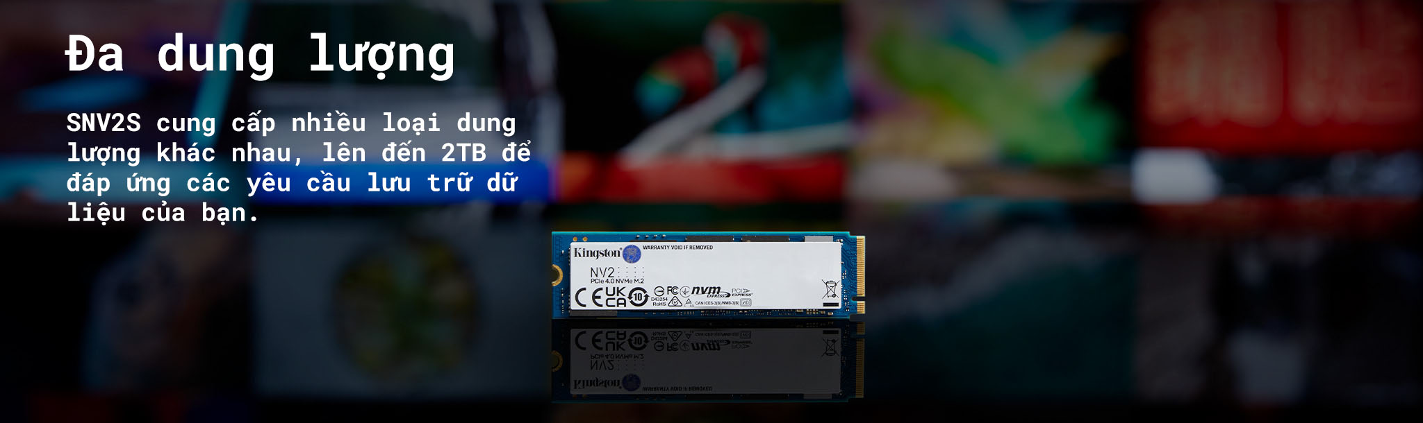Ổ cứng SSD Kingston SNV2S 250GB NVMe M.2 2280 PCIe Gen 4x4