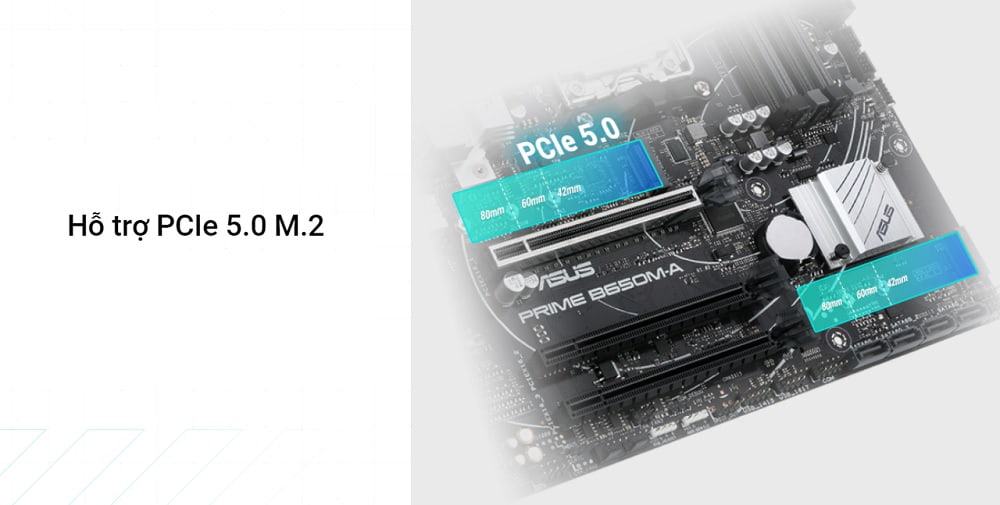 Mainboard ASUS PRIME B650M-A-CSM - songphuong.vn