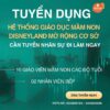 Tuyển dụng Giáo viên Mầm non đi làm ngay tại Disneyland Montessori Đền Lừ, Hoàng Mai, Hà Nội